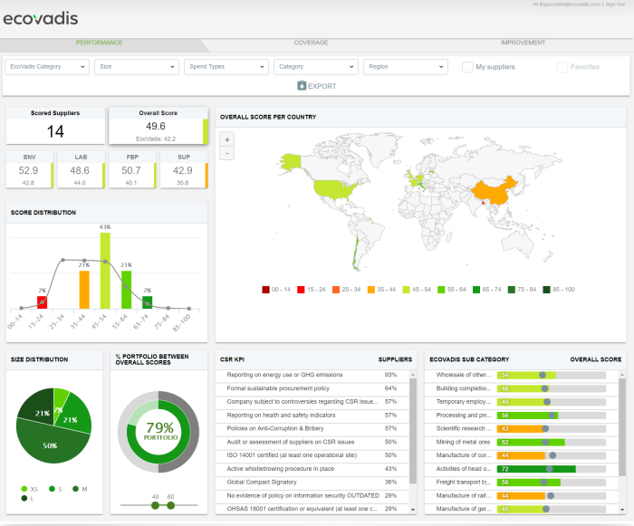 EcoVadis Dashboard sample